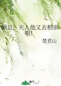 顾总夫人又要和离了短剧