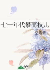 七十年代攀高枝儿免费阅读