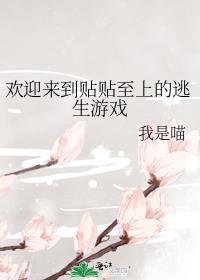 旧日情书归梦温酒
