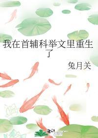 我在首辅科举文里重生了txt百度