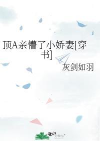 顶h全文