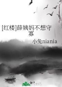 红楼薛姨妈不想守寡