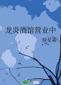 龙炎案进展