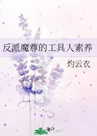 护雨迷迭