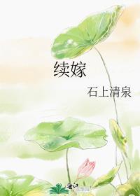 续嫁全文免费