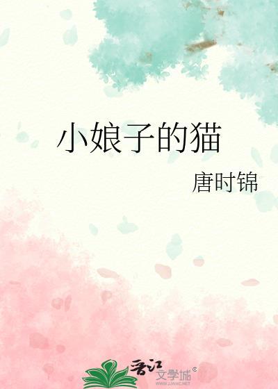 小娘子系列