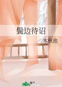 鬓边待诏番外txt