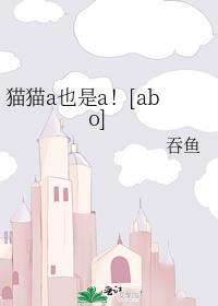猫猫A也是A!