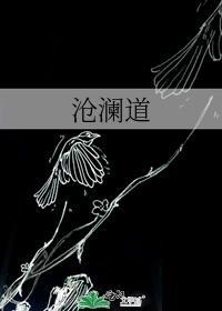 沧澜道讲的什么