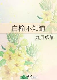 白榆-13-26