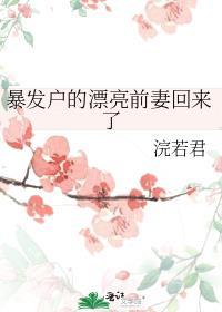 暴发户的前妻txt