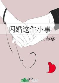 闪婚这件小事by三春宴