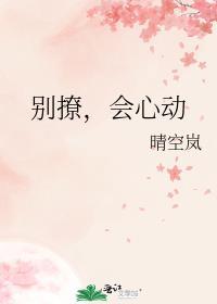 别撩会心动晋江