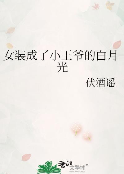 女装成了小王爷的白月光讲的什么