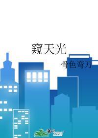窥天光by骨月弯刀讲什么