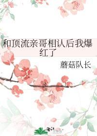 和顶流结婚后我失忆了免费阅读