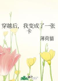 穿越之后我变成了一张卡