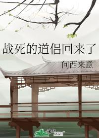 我没梗![星际gb