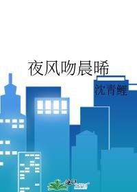晚风吻尽星辰夜