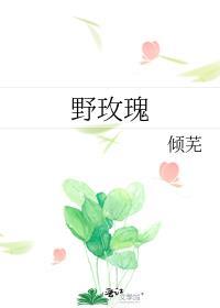 野玫瑰溪禾