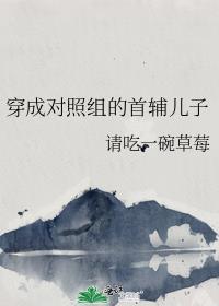 穿成对照组的首辅儿子cp是谁