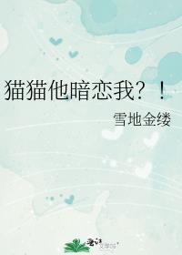喵咪喜欢你的表现