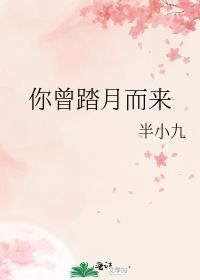 你曾踏月而来 沈谖