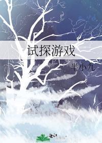 试探游戏by绯