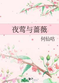 夜莺和蔷薇的读书笔记