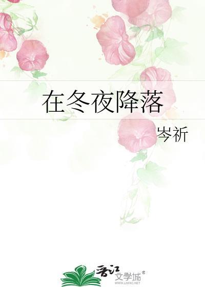在冬夜降落笔趣阁