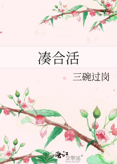 凑合活by三碗过岗TXT