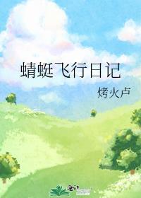 蜻蜓飞行日记讲的什么