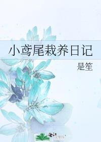 小鸢尾栽养日记讲的什么