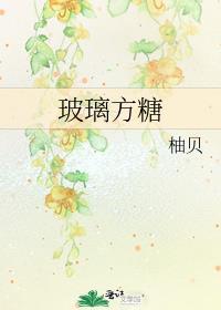 玻璃方糖txt全本