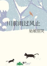 川前雨过风止全文免费阅读完整版