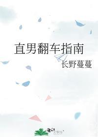 直男翻车指南txt