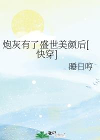 炮灰有了盛世美颜后[快穿