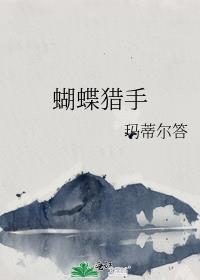蝴蝶猎手讲的什么