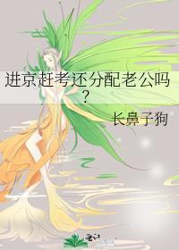 进京赶考还分配老公吗TXT