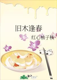 旧木逢春免费阅读无弹窗