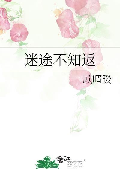 迷途不知返顾晴暖txt