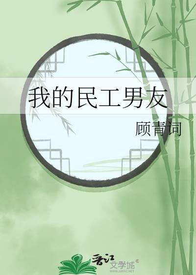 我的民工女友主要介绍