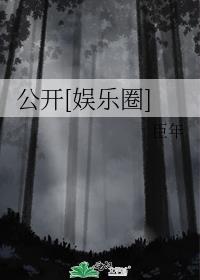 公开是啥