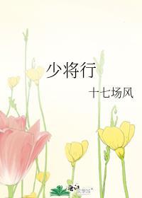 少将行by十七场风讲什么