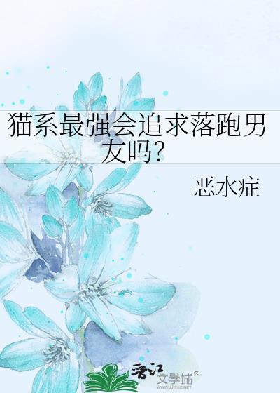 猫系对象