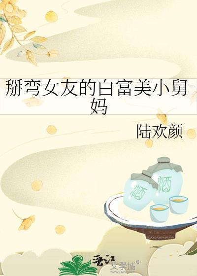 掰弯女友的白富美小舅妈 作者陆欢颜