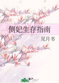 侧妃生存指南by姜婳免费阅读