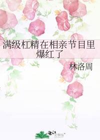 满级大佬是杠精
