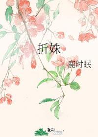 折姝鹿时眠
