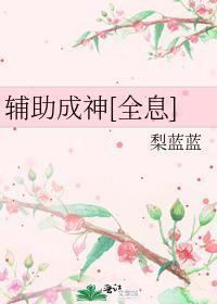 辅助life